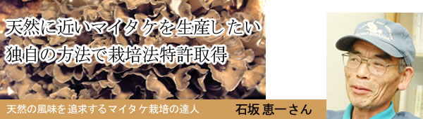 天然の風味を追求するマイタケ栽培の達人　石坂恵一さん